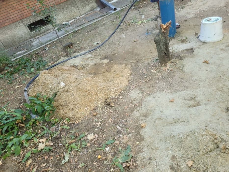 Foraje puturi apă