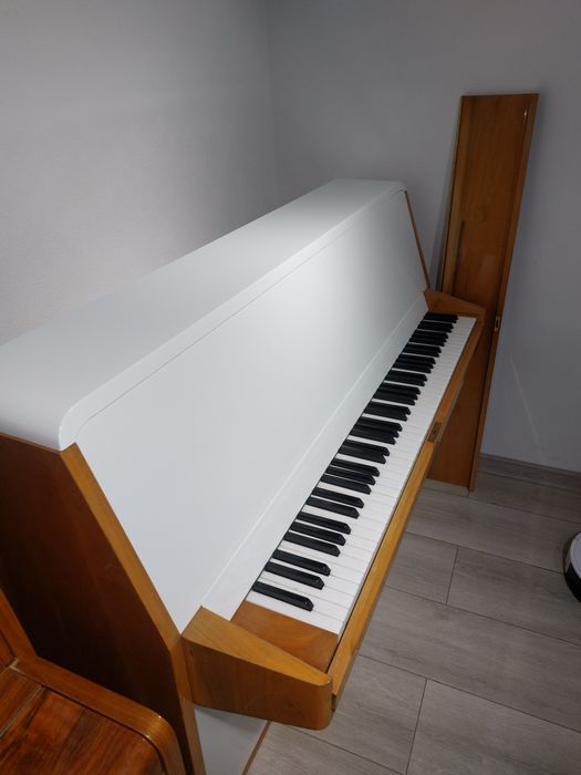 Pianina Rippen (transport gratuit, garanție)