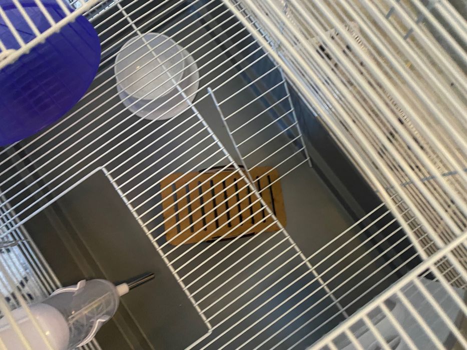 Клетка за хамстери плюс аксесоари чисто нова