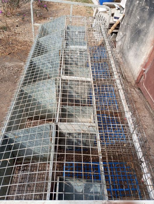 Куен клетка сотилади