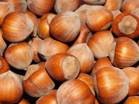 Puieti de alun certificati