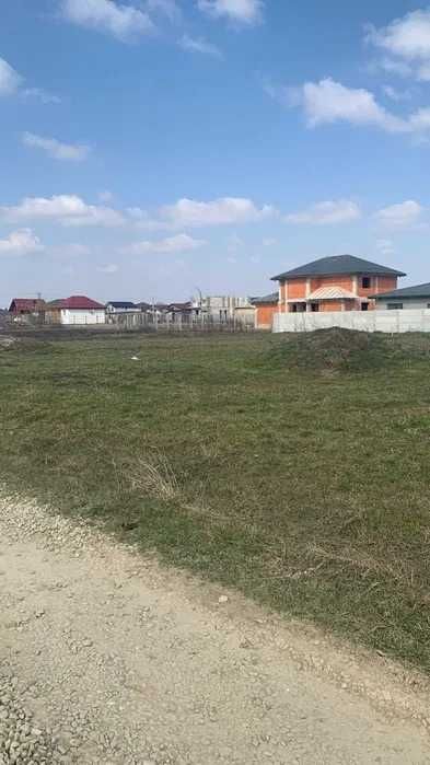 Teren 1.055 mp cu 2 deschideri Dumitrana Măgurele Utilități, Merita Vazut!