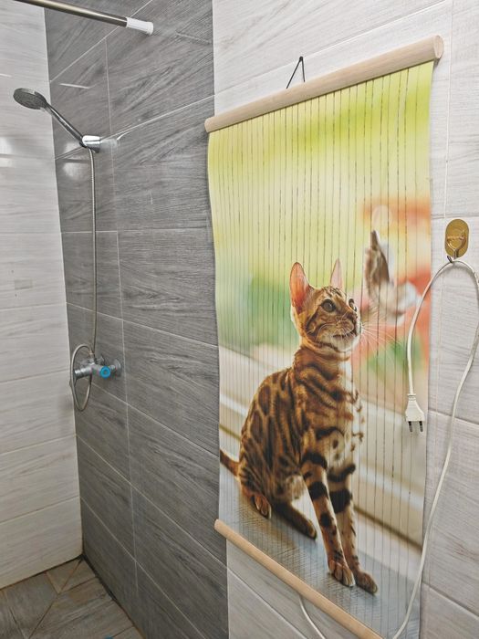 Сдаю комнату. Только Девушкам!. аккуратным.
