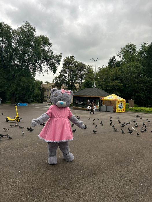 Продам костюмы Тэди Мишкишк