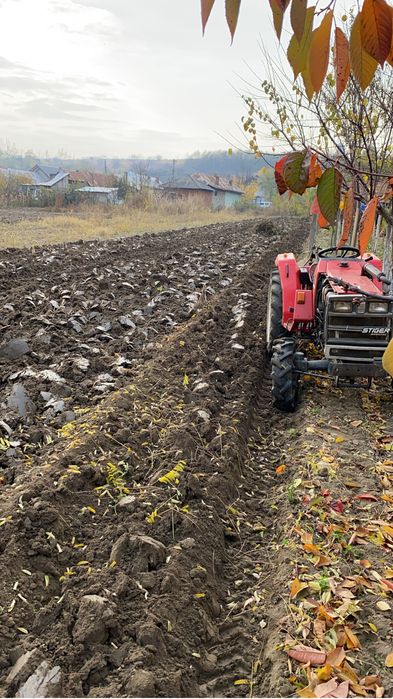 tractor japonez shibaura - Utilaje agricole de vânzare | OLX.ro
