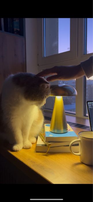 Интерьерный светильник / ночник