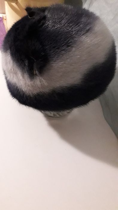 Норкакывый  шапка.45000т