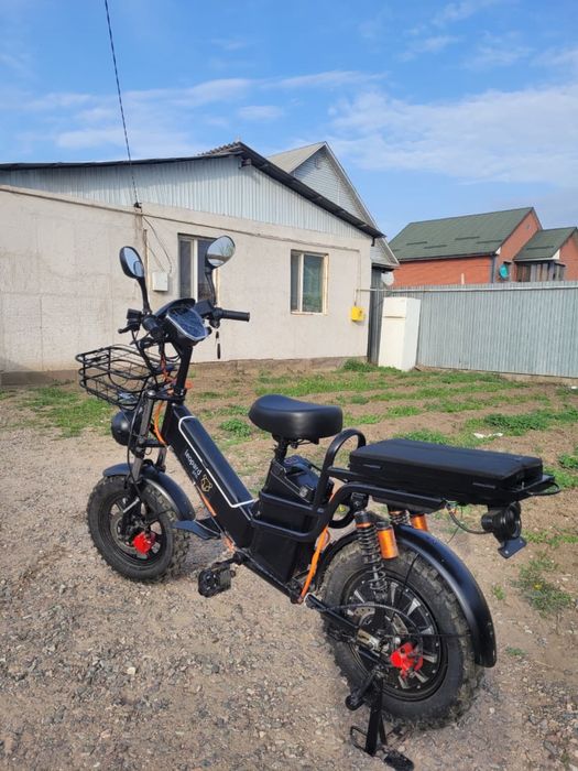 Леопад про Электровелик