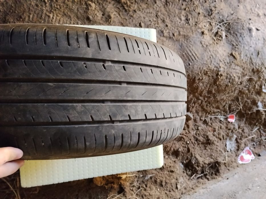 Монза родной шина