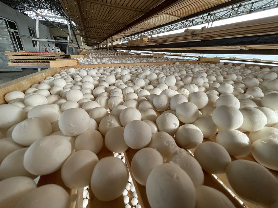 100% ishimizga javob beramiz