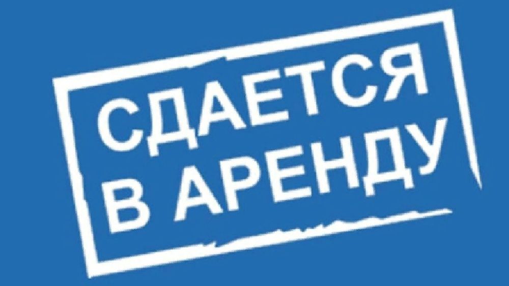 Сдам квартиру. Сдам его общество. Сдам его общество. Сдам квартиру надпись. Обществознание смешные картинки.