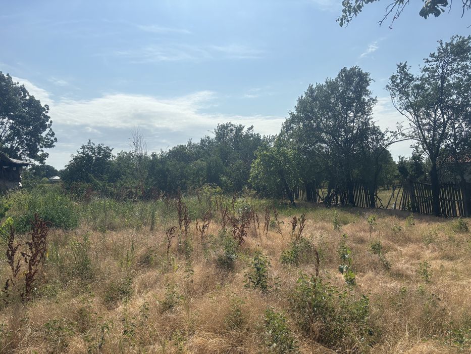 Vand urgent Teren intravilan