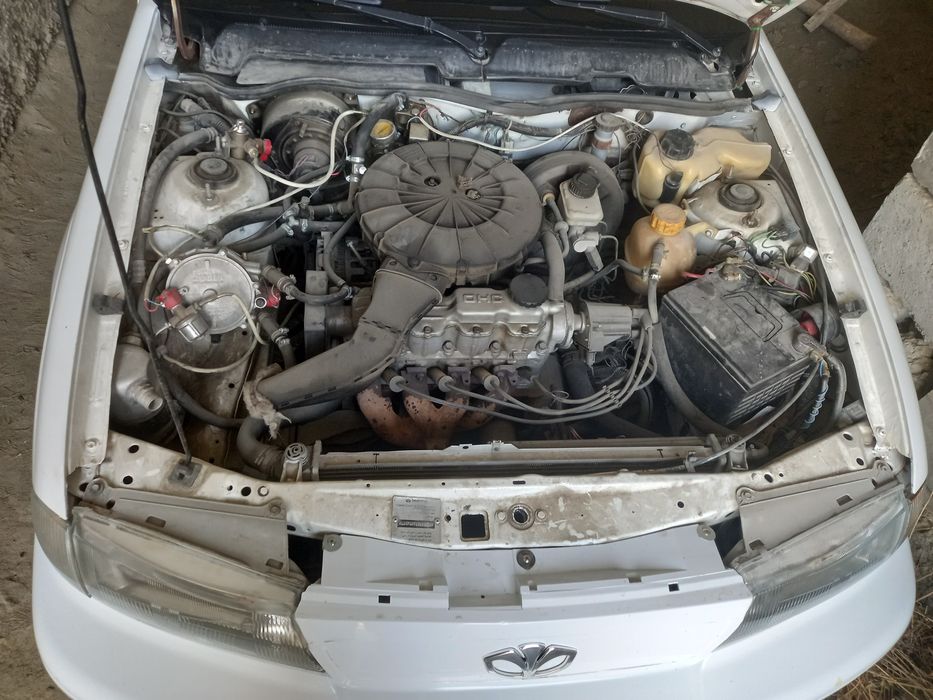 Nexia Koreyski Recer