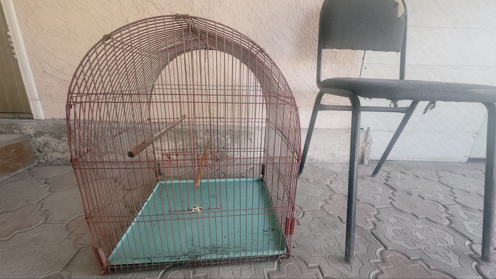 Клетка для птиц большая!