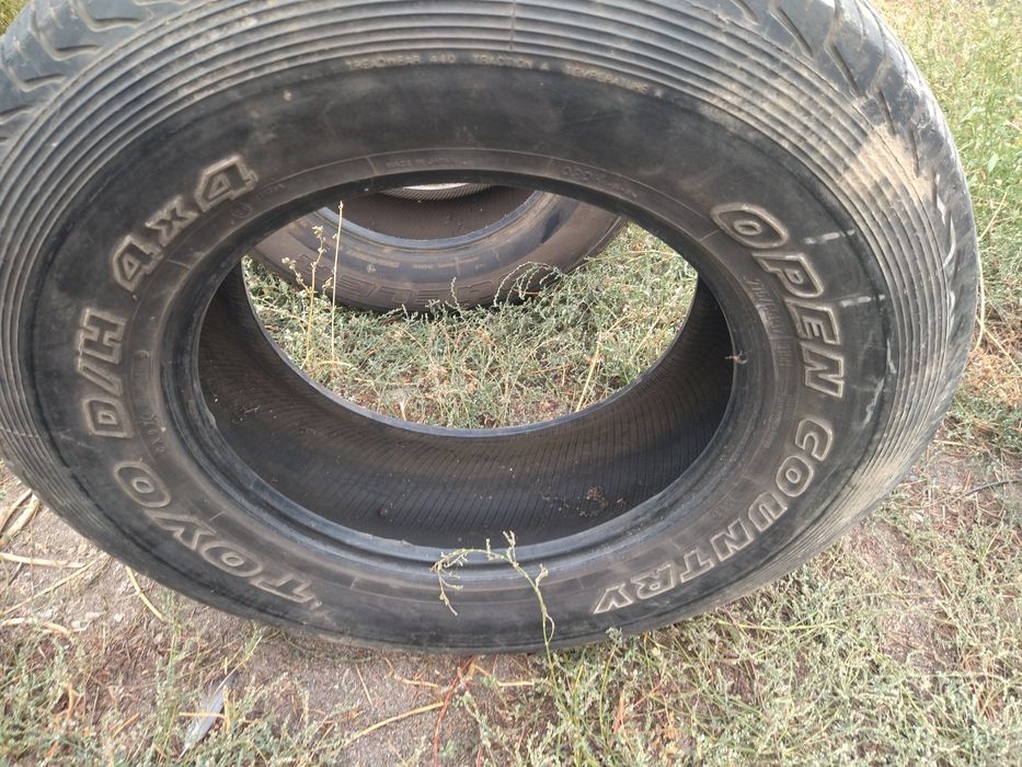 Шина летняя шина