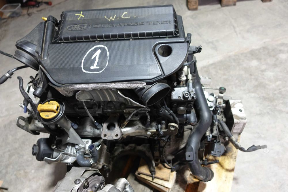 Motor 1,3TDCI*169A5000*CuAnexe&CutieViteze 55Kw/75Cp79000kmEuro5 FordK2,FiatPanda,etcImportFranta