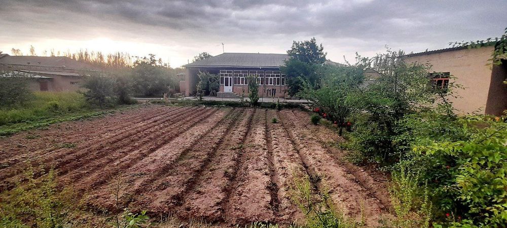 Hujjati kadastirlari bor 100%