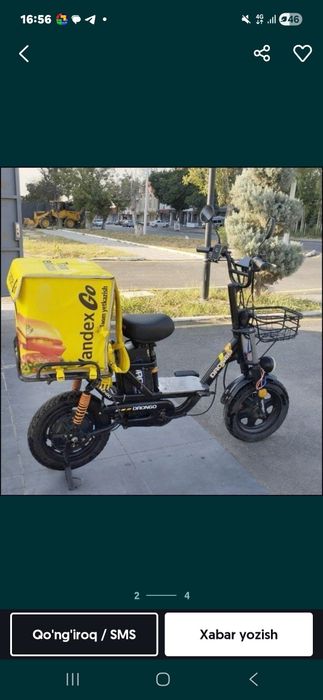 Drongo monster Holati zur