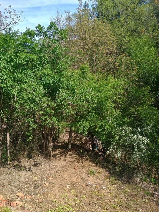 Продава се Къща в с. Луково, Област София-област - 24 кв.м за 625 €/кв.м - Снимка #8