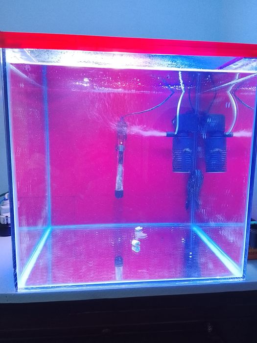 Yangi akvarium sotiladi