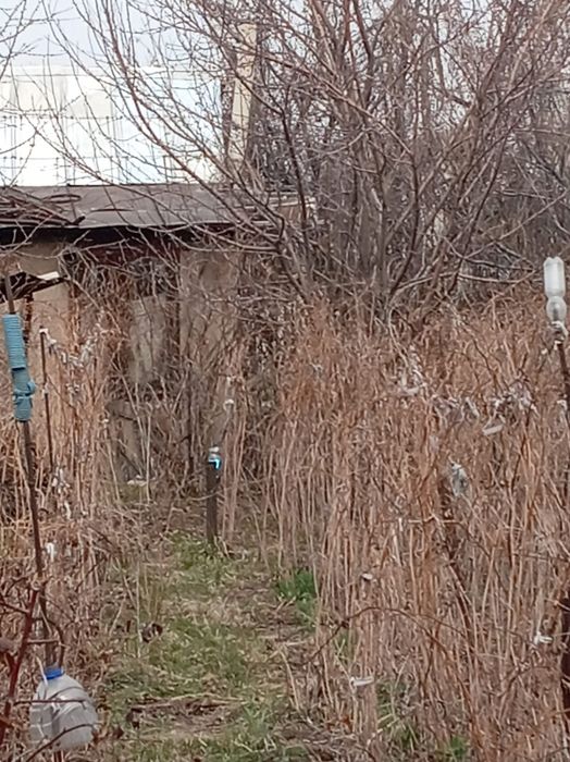 продам дачу с участком