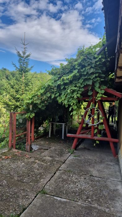 De vanzare casa cu teren intravilan  livada 5700m²