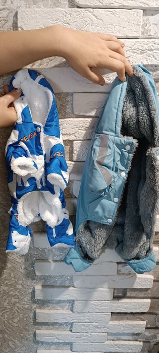 Продам комбинезон  для собаки