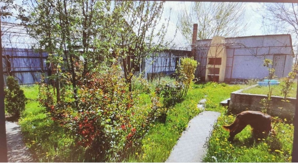 Teren 15 km de Bucuresti 2 constructii, fundatie 90mp, put apa, fosa..