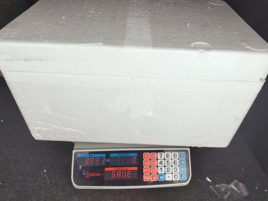 Свежие  огурцы и хрустящий