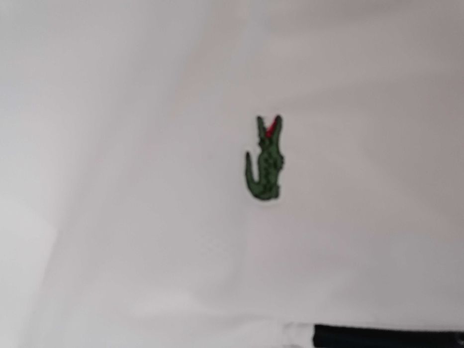 Geaca reflectorizanta lacoste doar 250 pana la Crăciun