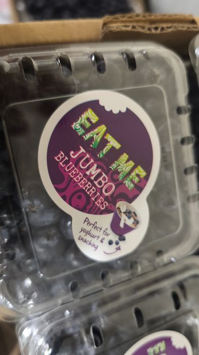 Голубика    Galubika