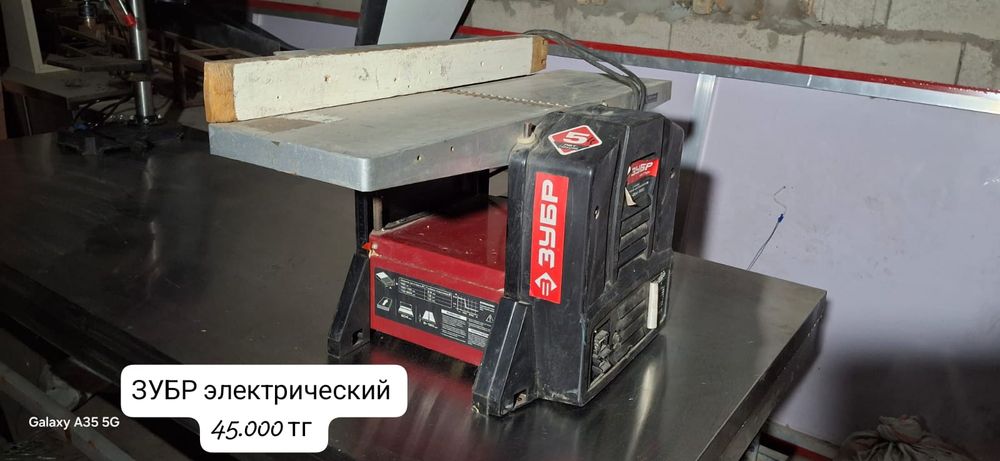 Зубр электрический