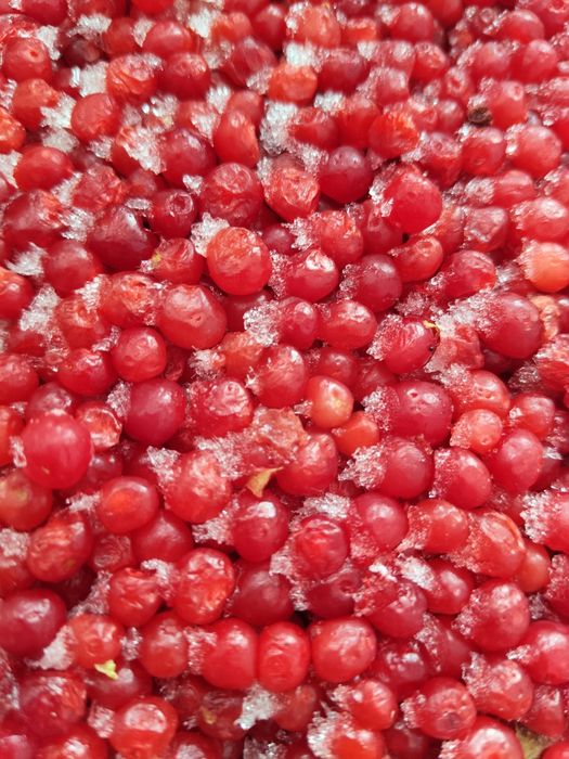 Продам свежемороженую костянку