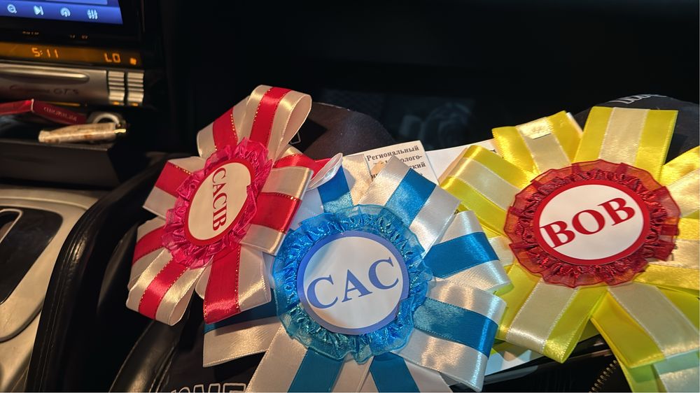 Немецкий малый шпиц для вязки