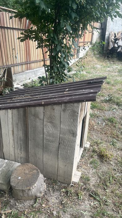 Продам бутку доя собаки