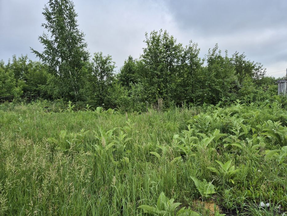 Продам дачу СТ Борки