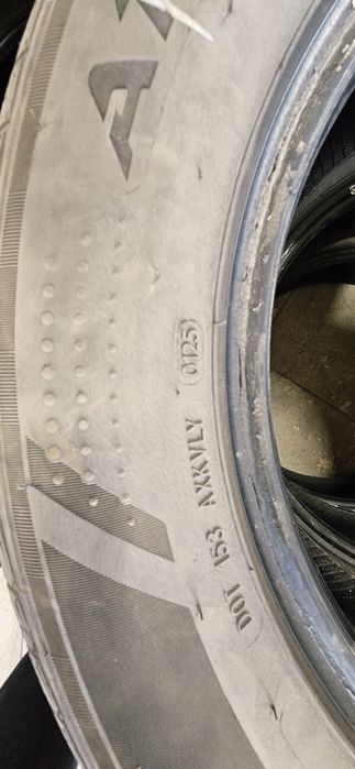 Резина Сайлунь лето