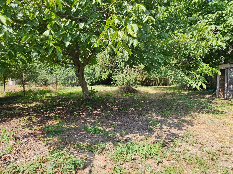 Imobiliere casa de vănzare