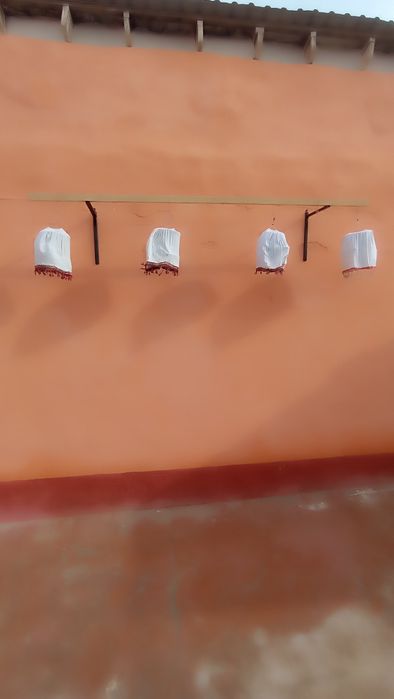 Беданалар сайрок 24/7 ешбеданалар 150000 дан келишамиз