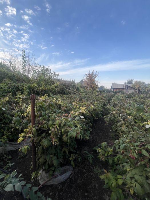 Продается дом с большим участком