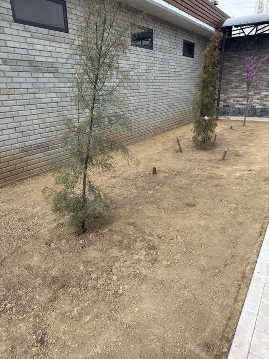 Газон готовый рулон оптом нархда