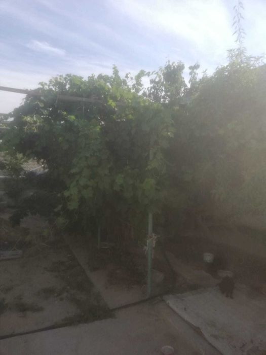 Прдается дом 15м на 15м