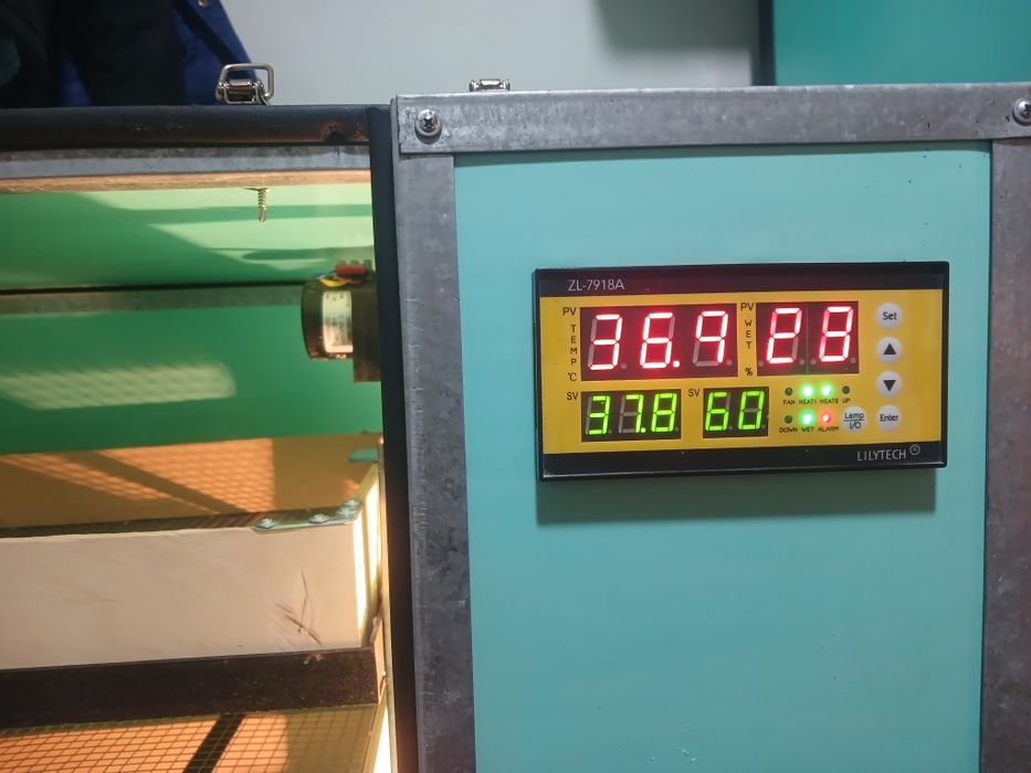 Инкубатор сатлады