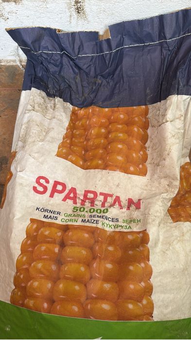 Porumb de samanta SPARTAN 50000 boabe
