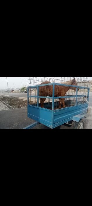 Прицеп сатылады.