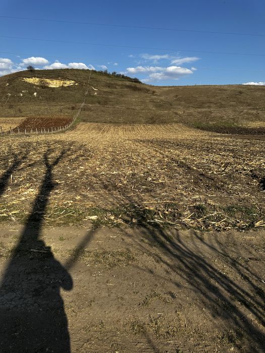 Vand sau schimb Teren extravilan 9000 mp,Corușu, Baciu acces drum apa curgatoare