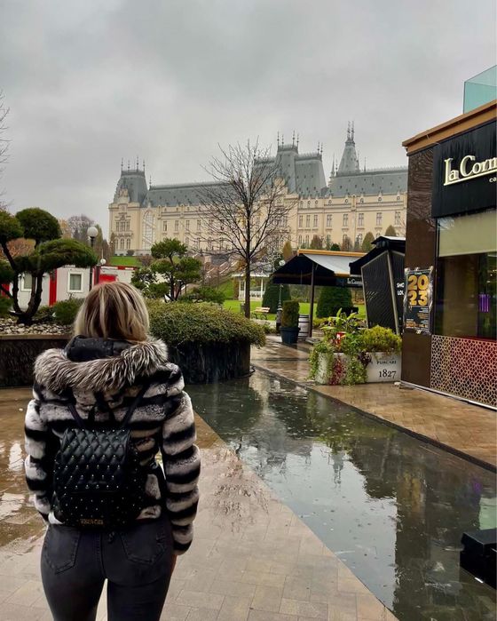 Blana chinchilla superba