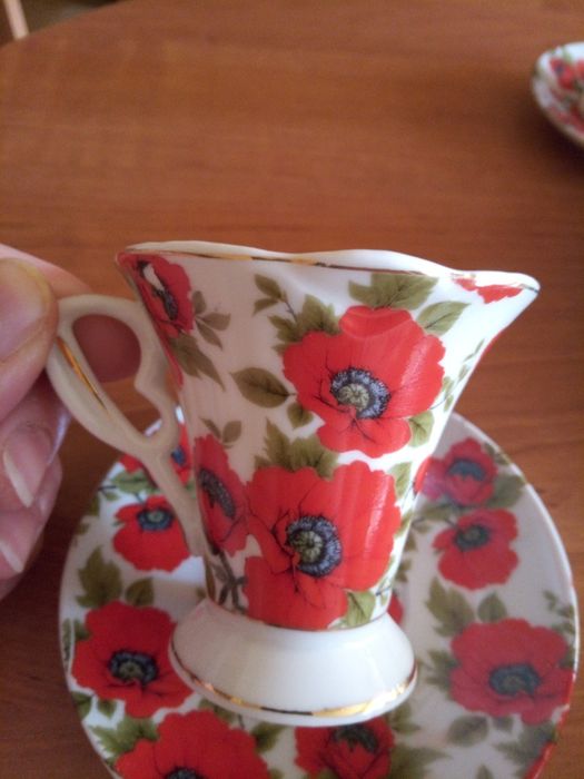 Кофейнаяпара,новая