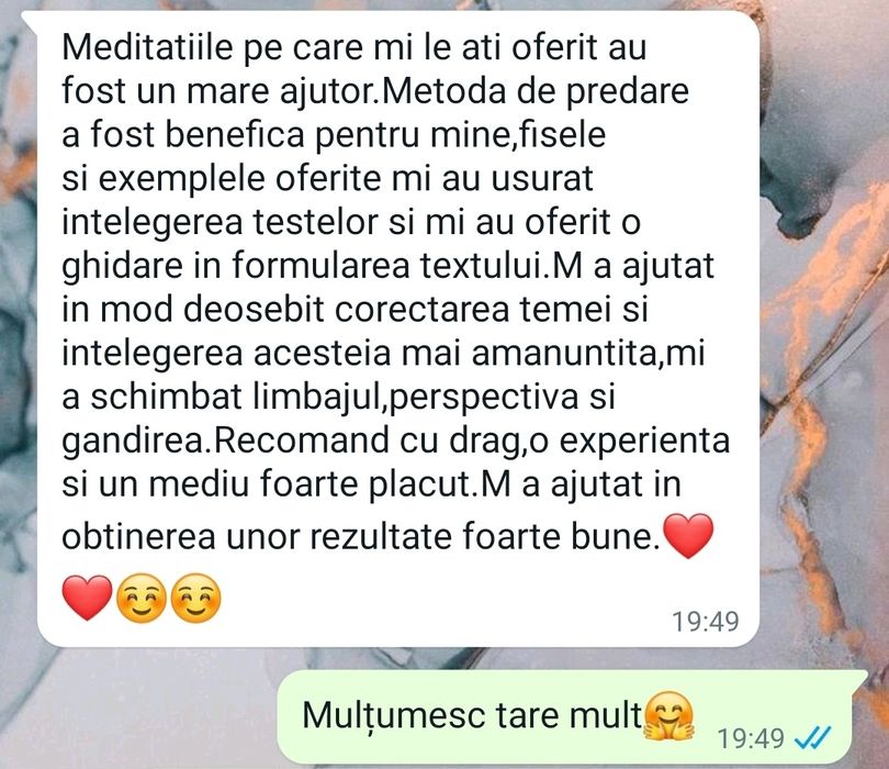 Meditatii BAC de 10 Lb. Romana