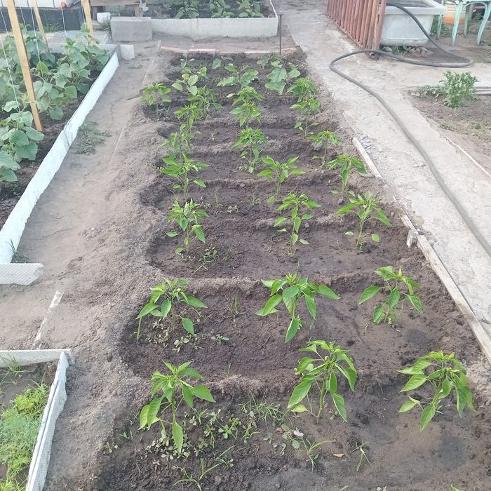 Продам дом в районе Мдс.